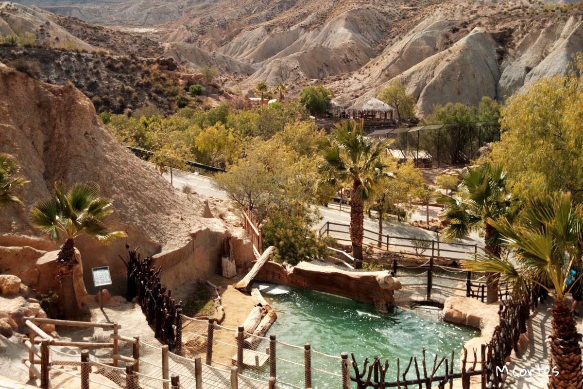 Qu Hacer En Almer a MuyTraveler Blog De Viajes qu-hacer-en-almer-a-muytraveler-blog-de-viajes